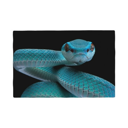 

Table Placemats Set of 6 - Blue Viper Snake1 12x18 In Faux Linen Double Heat Resistant Place Mats Cloth Indoor/Outdoor Placemats Washable Table Mats for Dining Kitchen Party