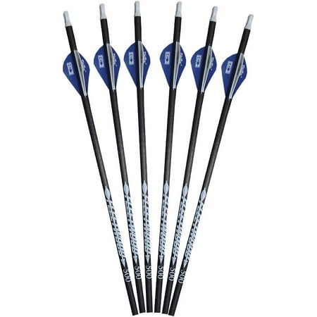 Fleetwood Arrows w/Vanes 6 Pack