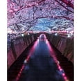 thumbnail image 3 of F4 Passion 15x17 Black Modern Framed Museum Art Print Titled - Sakura Season, 3 of 5