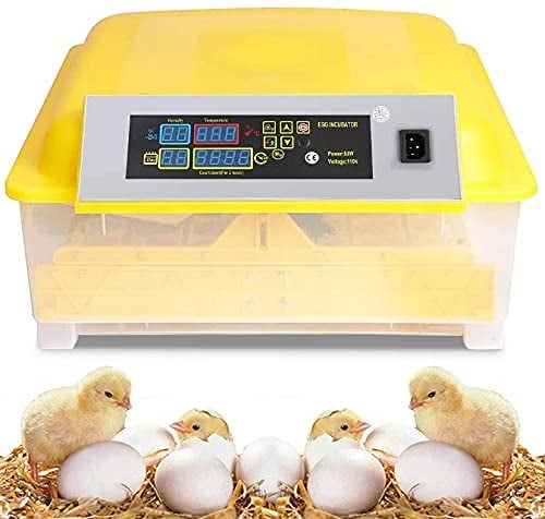 Transparent Digital Automatic Egg Incubator with Temperature Control Function,Yellow
