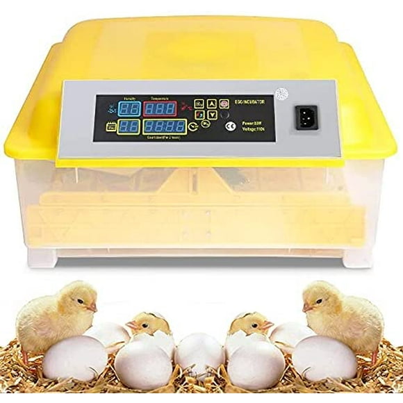 INTBUYING Digital Egg Incubator 48 Eggs Poultry Hatcher General Digital Incubators Breeder with Temperature Control and Auto Turning for Hatching Chicken Duck Goose Quail Birds