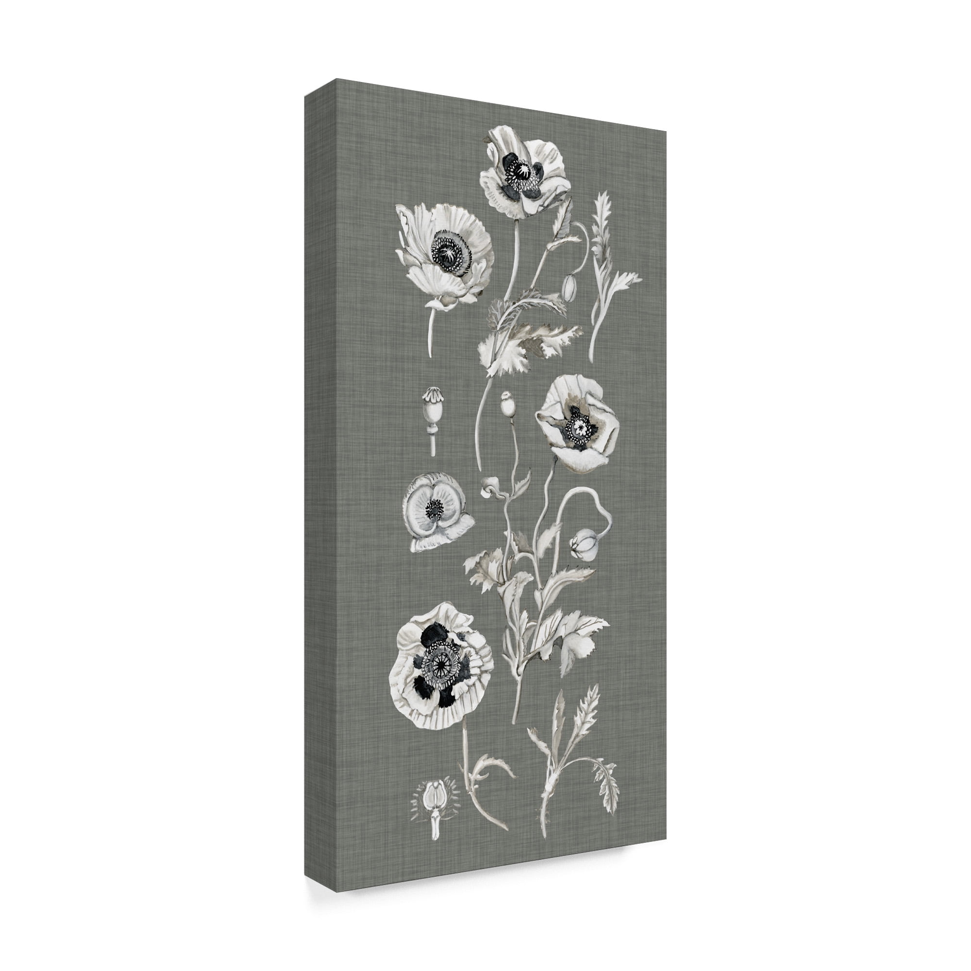 Trademark Fine Art 'Poppy Array II' Canvas Art by Naomi McCavitt