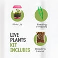 thumbnail image 6 of Live Venus Flytrap Kit with Carnivorous Plant Food & Tweezers in 4.5” Pink Terrarium – Indoor Bug-Eating Plant Gift for Kids & Adults Fly Trap, 6 of 7