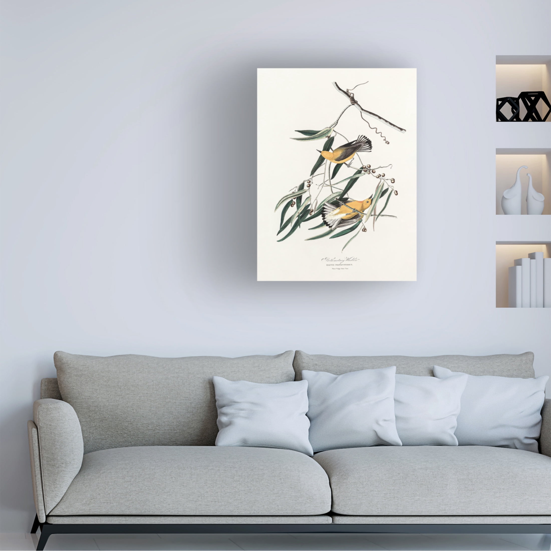Trademark Fine Art Pictufy Prothonotary Warbler From Birds of America 1827 Canvas Wall Art