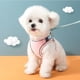 thumbnail image 5 of Chaleco para gatos, chaleco reflectante de moda para mascotas de exterior, gatito rosa, talla L, 5 of 5
