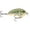 CHARTREUSE ROOTBEER CRAWDAD, variant on Rapala Ott's Garage Tiny 04 Big Shad