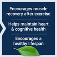 thumbnail image 4 of Life Extension | Taurina, 1000 mg, 90 cápsulas. Suplemento que Favorece la salud cardiovascular., 4 of 9