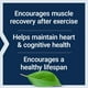 thumbnail image 4 of Life Extension | Taurina, 1000 mg, 90 cápsulas. Suplemento que Favorece la salud cardiovascular., 4 of 9