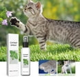 thumbnail image 6 of Catnip Spray For Cats, Herbal Cat Joy Spray, Herbal Cat Joy Celery Pets, Cat Scratching Spray Mist, Cat Anxiety Relief, Cat Calming Spray, 6 of 8