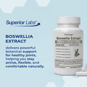 Superior Labs Boswellia Extract 500mg 65% Boswellic Acids with Bioperine Non-GMO Joint & Immune Support Vegan 240 Count