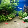 thumbnail image 3 of KAKOWELY 10 Pcs Poissons Miniatures 1:12 Maison de Poupée Poissons Miniatures Poissons Rouges pour Micro-Scènes Réalistes Mini Aquarium Ornement Micro-Paysage, 0.59"X0.14"X0.14 Pouces, 3 of 5
