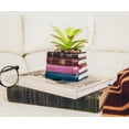 thumbnail image 4 of Harry Potter Book Stack 3-Inch Ceramic Planter With Artificial Succulent, 4 of 7