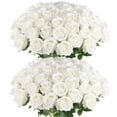 thumbnail image 1 of Rosas artificiales Hananona Velvet Silk, 50 unidades, color blanco, 1 of 7