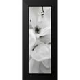 thumbnail image 2 of Blaustein, Alan 7x14 Black Modern Framed Museum Art Print Titled - Magnolia - 1, 2 of 5