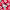 Hello Kitty, variant on Character Toddler Girl Super Soft Pajama Coat Set, 2-Piece, Sizes 2T-5T