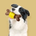 thumbnail image 3 of Juguete masticable de madera natural para perros, aroma duradero, para perros medianos y grandes que muerden con fuerza, 3 of 5