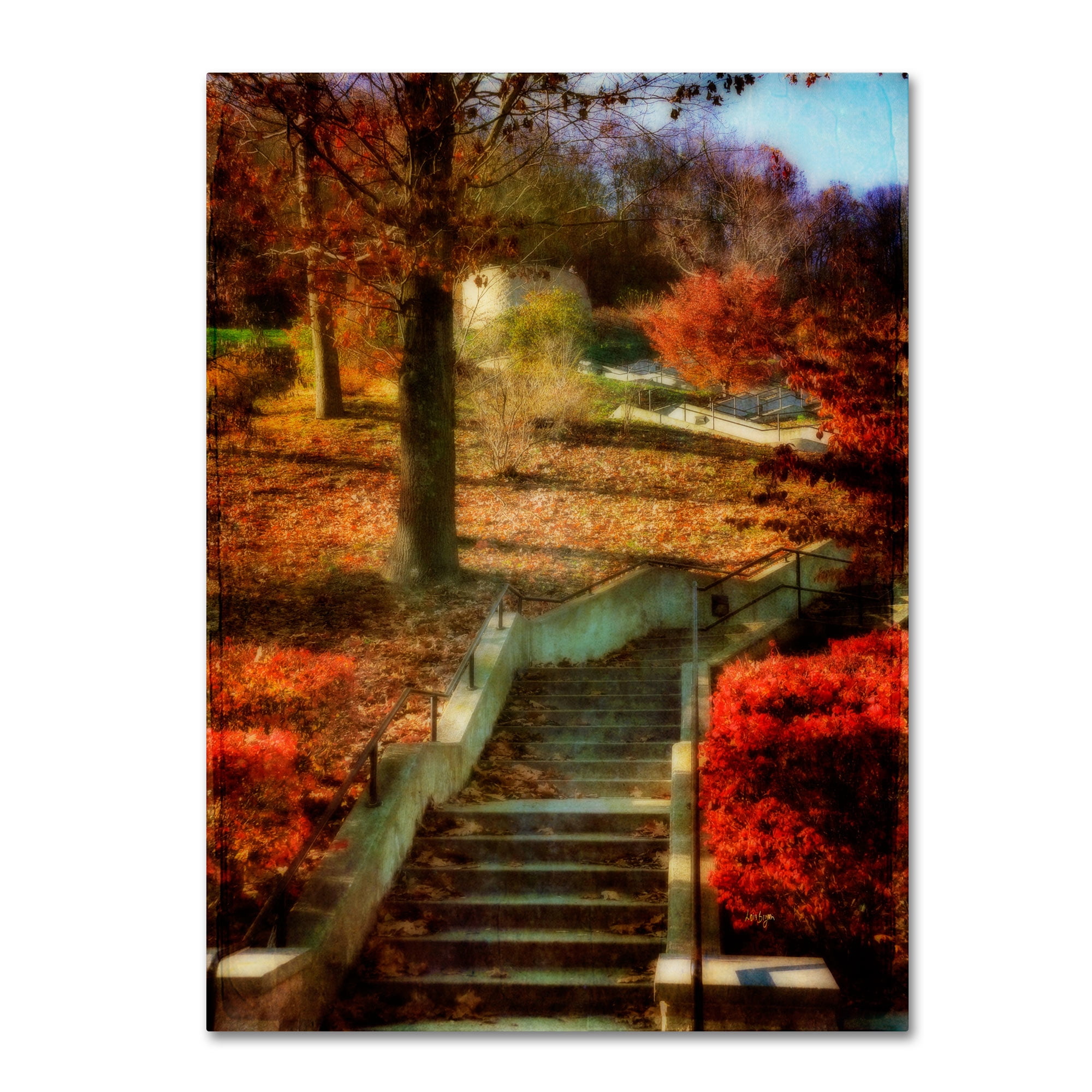 Trademark Fine Art "Autumn Stairway" Canvas Art by Lois Bryan