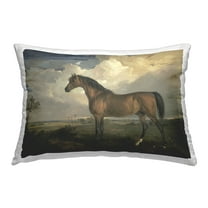 Stupell Industries Overcast Clouds & Horse Decorative Printed Throw Pillow Design by James Ward .