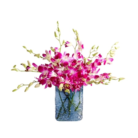 1800 Flowers – 10 Stem Exotic Breeze™ Orchids (Blue Vase) | Fresh Cut Spring Flowers for Delivery | For Easter Anniversary Sympathy and Special Occasions 1800 Flowers – 10 Stem Exotic Breeze™ Orchids (Blue Vase) | Fresh Cut Spring Flowers for Delivery | For Easter Anniversary Sympathy and Special Occasions