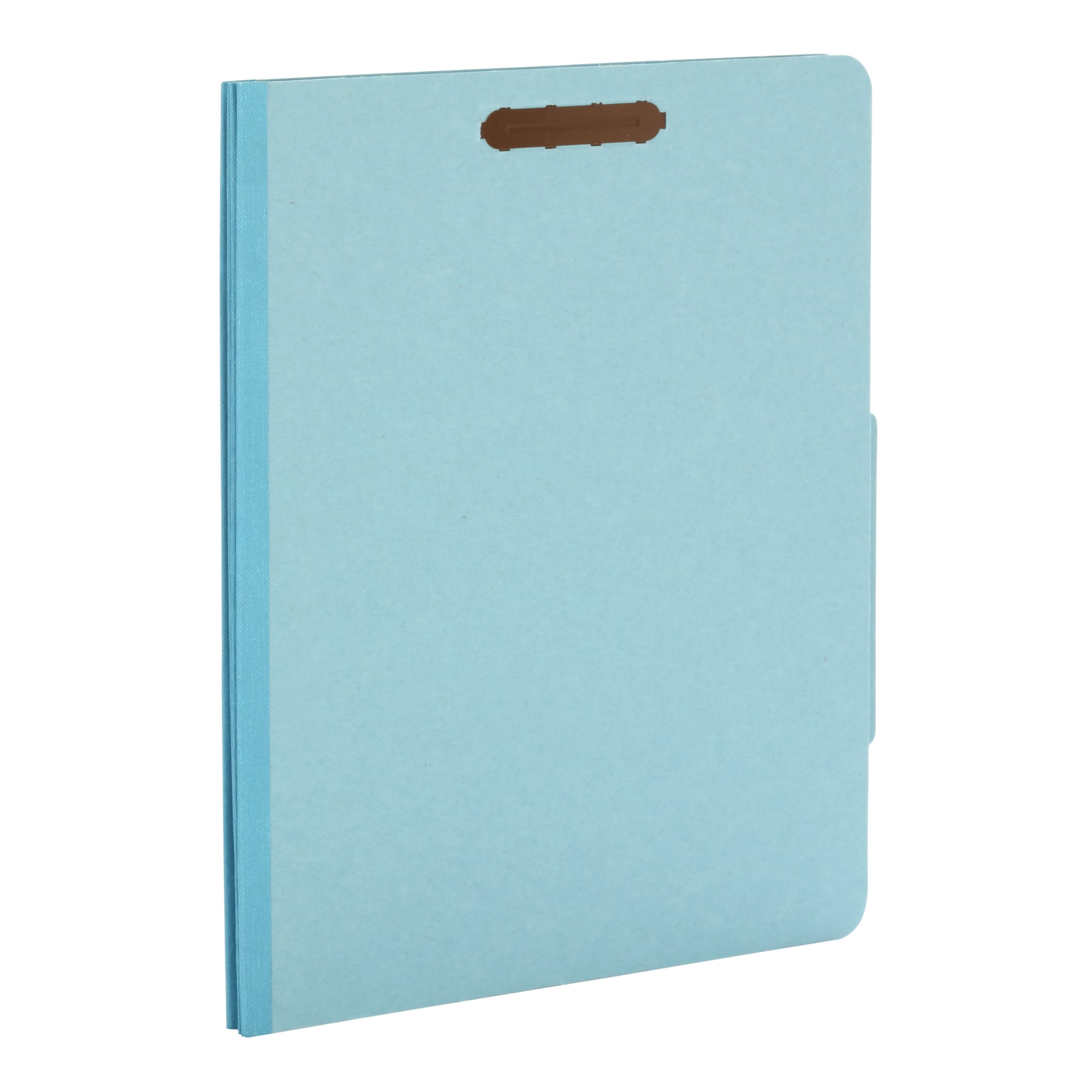 Pendaflex 2-divider Recycled Classification Folders