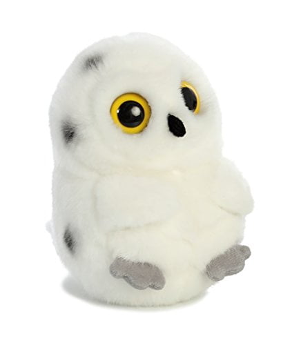 rolly pet