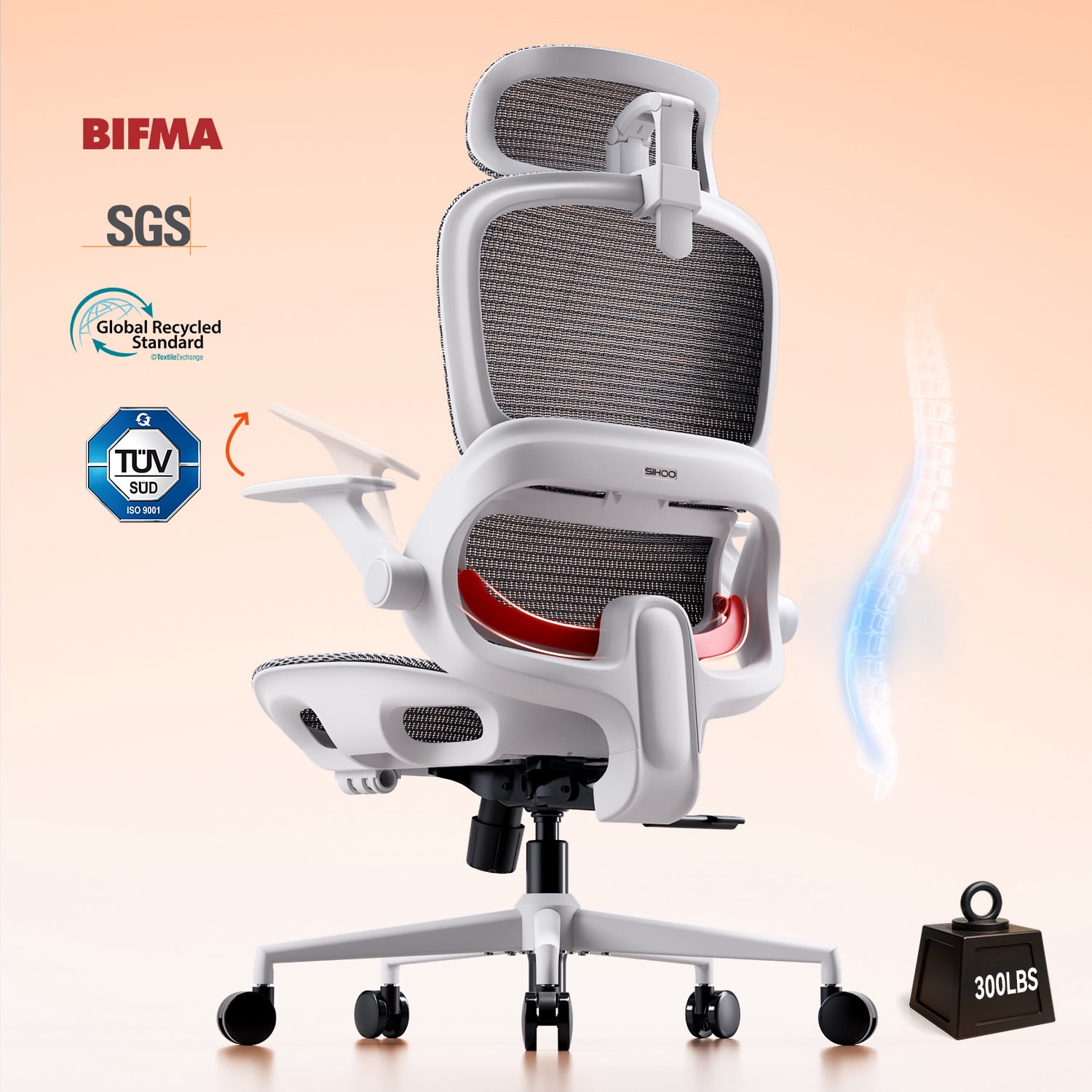 SIHOO B100 Ergonomic Office Chair, Task Chair with Zoned Back Support, 2D Wide Headrest Study Chair for Teenager, High Back Executive Chair for Home Office, White