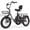 Gray, variant on ESKUTE E Trike Electric Tricycle for Adults, 750W Brushless Motor, 18MPH+ Fat Tire Folding 3-Wheel E-Bike, Step-Thru Design, Up to 55 Miles, Black