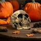 thumbnail image 4 of Uuiauoio Resin Skull, Human Head Model for Home Decoration, Halloween Statue, Skull Model for Bookshelf and Desktop, Skeleton Head Halloween Skull Artwork Decoration, 4 of 6