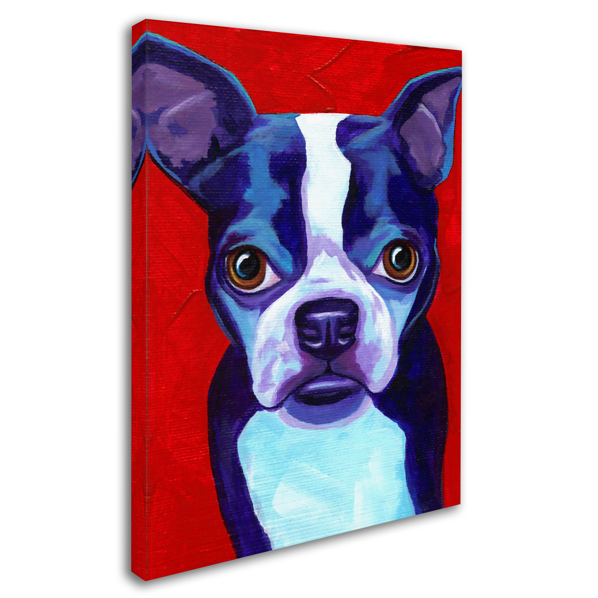 Trademark Fine Art 'Boston Terrier' Canvas Art by Corina St. Martin