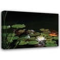 thumbnail image 1 of Dana Underdahl 38x28 Gallery Wrapped Canvas Wall Art Titled - White Water Lily I, 1 of 4