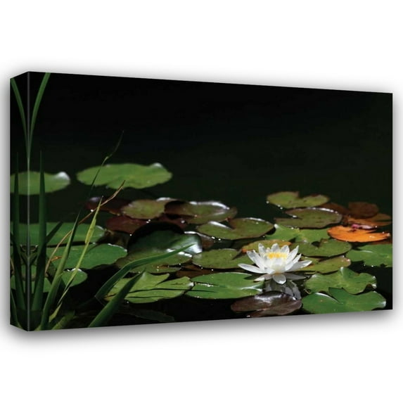 Dana Underdahl 38x28 Gallery Wrapped Canvas Wall Art Titled - White Water Lily I