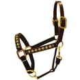 thumbnail image 5 of Intrepid International 126002BS Horse Halter Leather Crown Padded Nose, Blue & Silver, 5 of 7