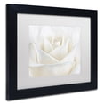 thumbnail image 4 of Trademark Fine Art 'Pure White Rose' Canvas Art by Cora Niele, White Matte, Wood Frame, 4 of 4