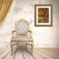 thumbnail image 3 of Geyman, Vitaly 24x32 Gold Ornate Wood Framed with Double Matting Museum Art Print Titled - Fall Tree Grove I, 3 of 4