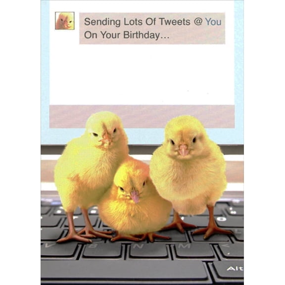 Designer Greetings Sending Lots of Tweets : 3 Yellow Chicks Cute Birthday Card