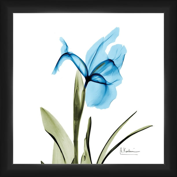 Iris Wall Art Walmart Com Walmart Com