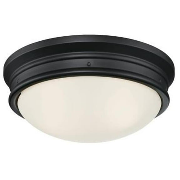 2 Light Meadowbrook Indoor Flush-Mount Ceiling Fixture, Oval