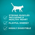 thumbnail image 6 of Purina ONE True Instinct, High ProteinDry Cat Food, Ocean Whitefish, 3.2 lb Bag, 6 of 11