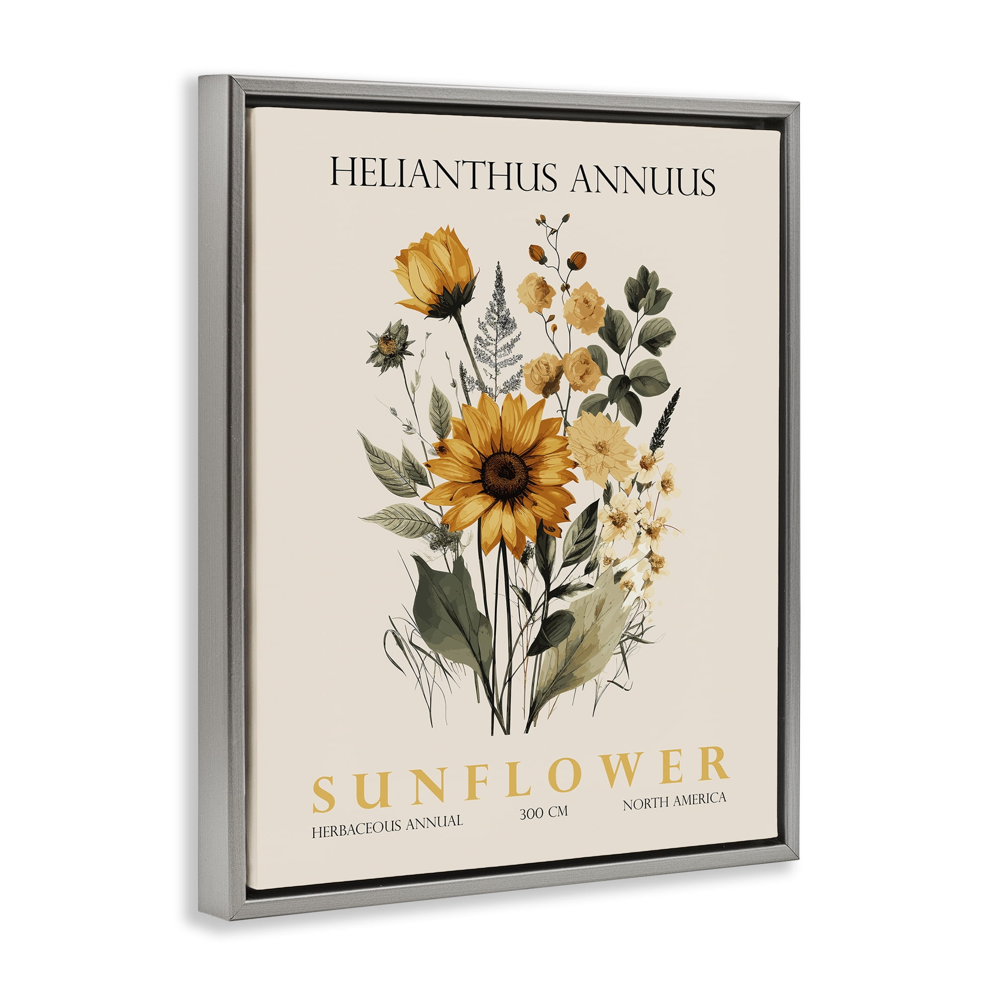 Stupell Industries Natural Sunflower Bundle Gray Framed Floater Canvas Wall Art, design by Christopher Giampietro