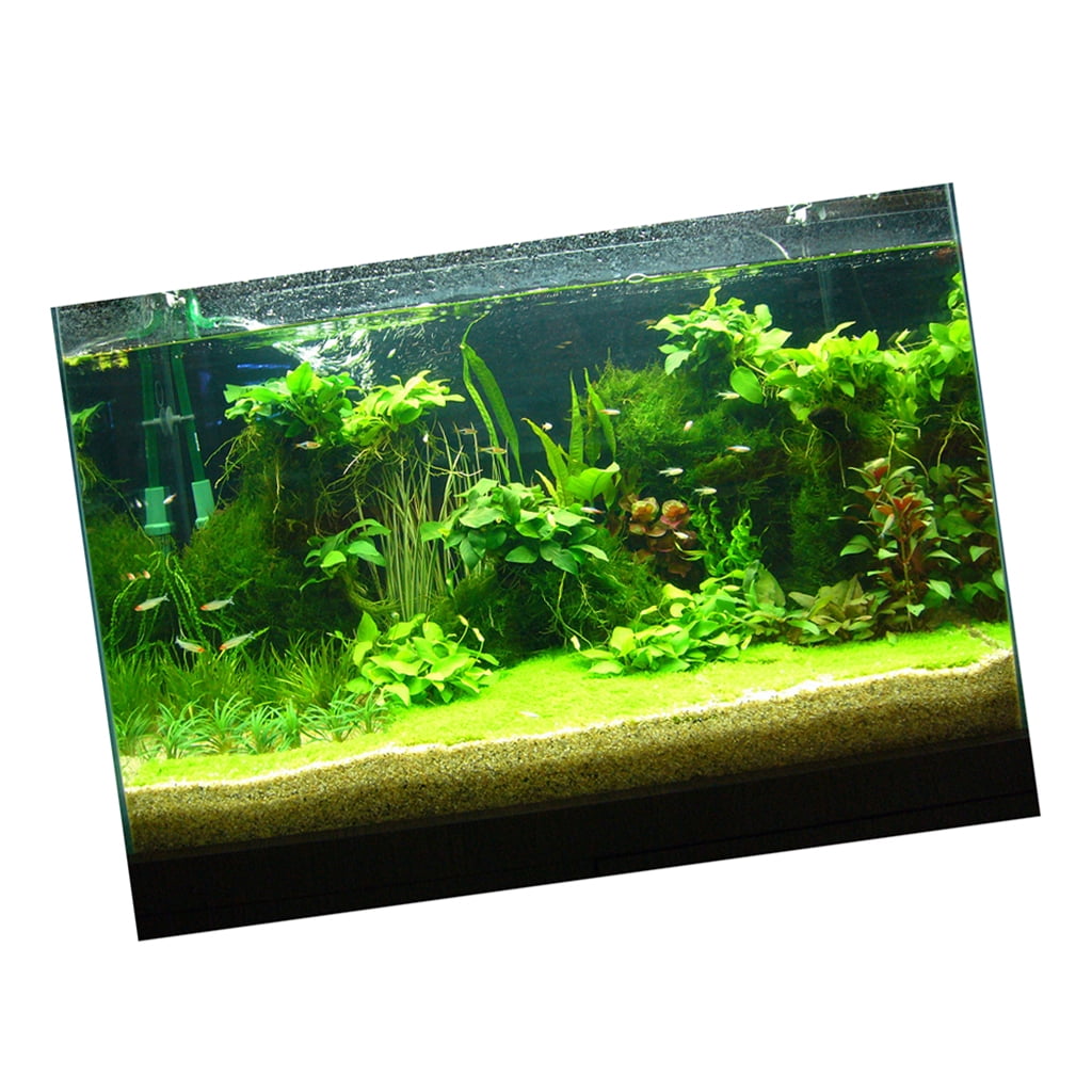Attractive 3D Plants Image Aquarium Background Poster/Fish Tank Landscape - 122x61cm