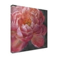 thumbnail image 2 of Trademark Fine Art 'Vivid Floral I Crop' Canvas Art by Danhui Nai, 2 of 3