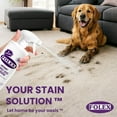 thumbnail image 3 of 2 Pack Folex 32 oz Instant Carpet Spot Remover Carpet Cleaner with Reusable Cleaning Cloth - Removes Pet Accidents, Grease, Red Wine and More, 3 of 4