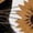 White, variant on Vintage Cat & Sunflower Graphic Tees Womans T shirt Black/White S-5XL Shirts Casual Daily Tops