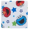Sesame Street 4Piece Awesome Buds Toddler Bedding Set