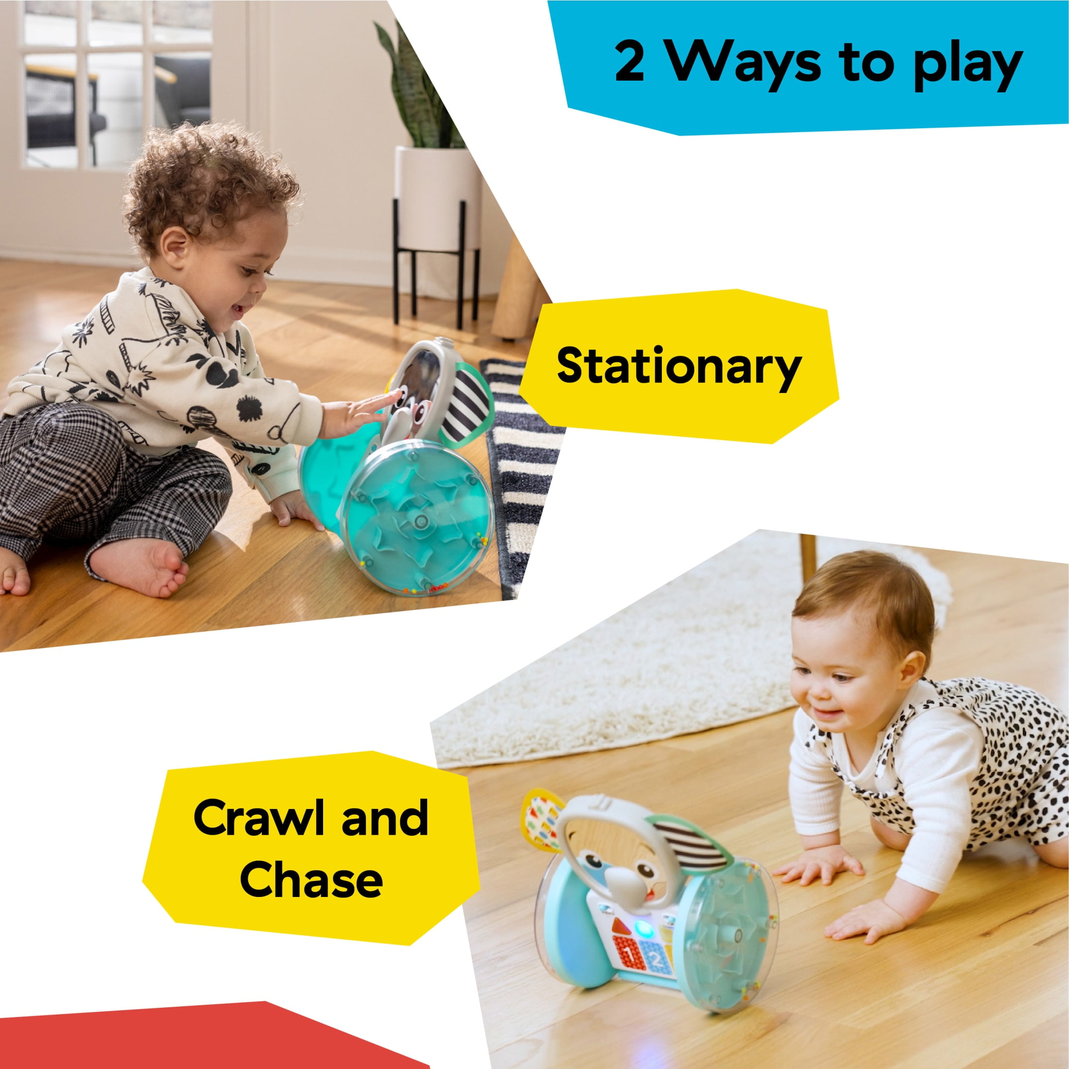 Baby Einstein Chase & Tap Earl Crawling Baby Toy, with Mirror and Music, Infants, Ages 6+ Months