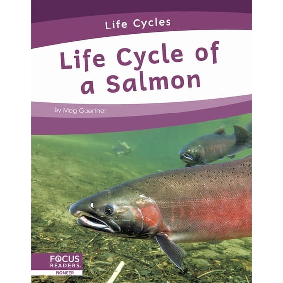 Life Cycle of a Salmon, (Paperback)