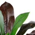 thumbnail image 6 of Northlight Real Touch™️ Red and Green Artificial Dracaena Potted Plant - 23", 6 of 9