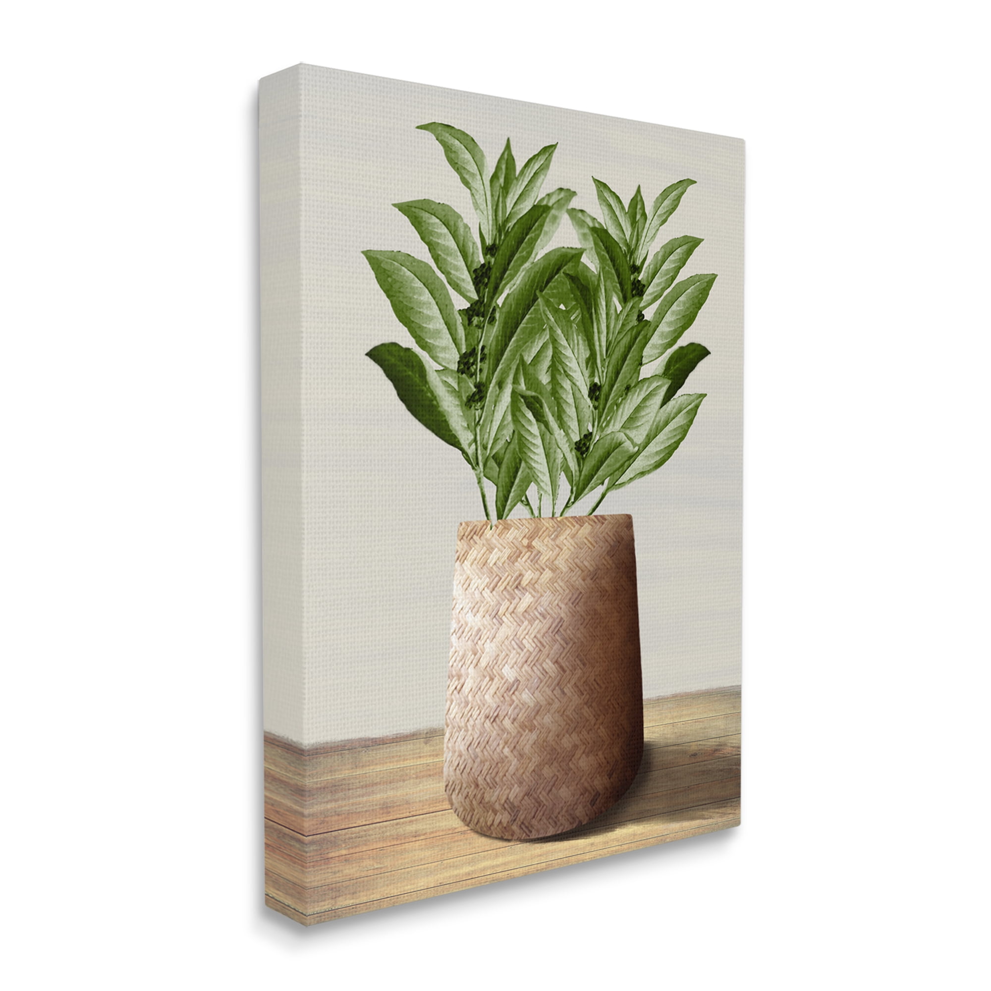 Stupell Industries Greenery in Woven Planter Botanical & Floral Painting Gallery Wrapped Canvas Art Print Wall Art, 30 x 40
