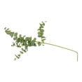thumbnail image 1 of Planta Artificial Mainstays 90 cm Eucalipto Verde, 1 of 4