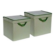 Storage Boxes collapsible Delta pack of 2